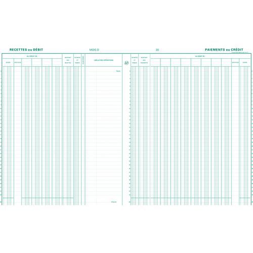 Register kas/bankboek 9 deb.5 cred. 33 lijnen- FR. Exacompta Register kas/bankboek 9 deb.5 cred. 33 lijnen- FR. Exacompta