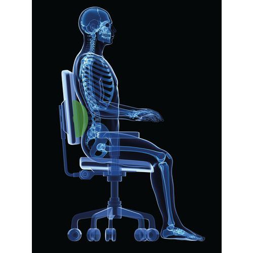 Coussin Lombaire Pour Siege De Bureau Demi Lune Manutan Be