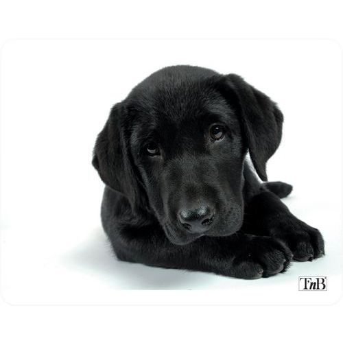 Muismat geïllustreerde hond - T'nB Muismat geïllustreerde hond - T'nB