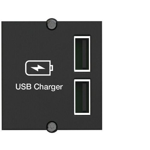 Plastron chargeur à 2 ports USB - Bachmann