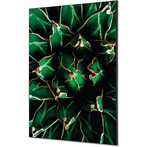 Wanddecoratie Textiel SET Cactus - Showdown