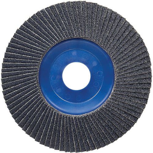 Lamellenschuurschijf X571 diameter 125mm korrel 60 recht - Bosch Lamellenschuurschijf X571 diameter 125mm korrel 60 recht - Bosch