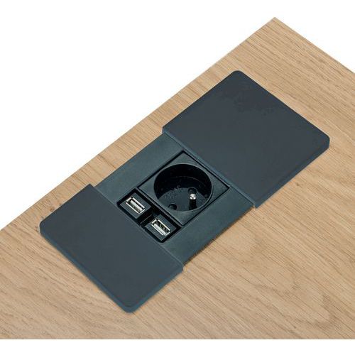 Obturateur d'alimentation 1 prise 220V + 2 USB In'Team Obturateur d'alimentation 1 prise 220V + 2 USB In'Team